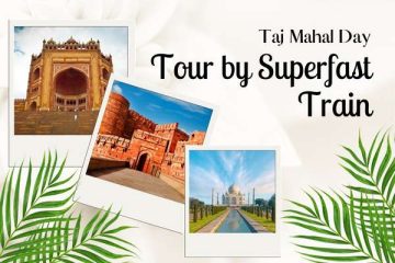 Taj Mahal Sunrise and Old Delhi Walking Tour From Delhi (1)